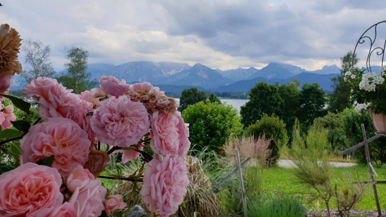 Landhaus Amberg Hopfen Am See // Hopfensee // Fuessen 외부 사진