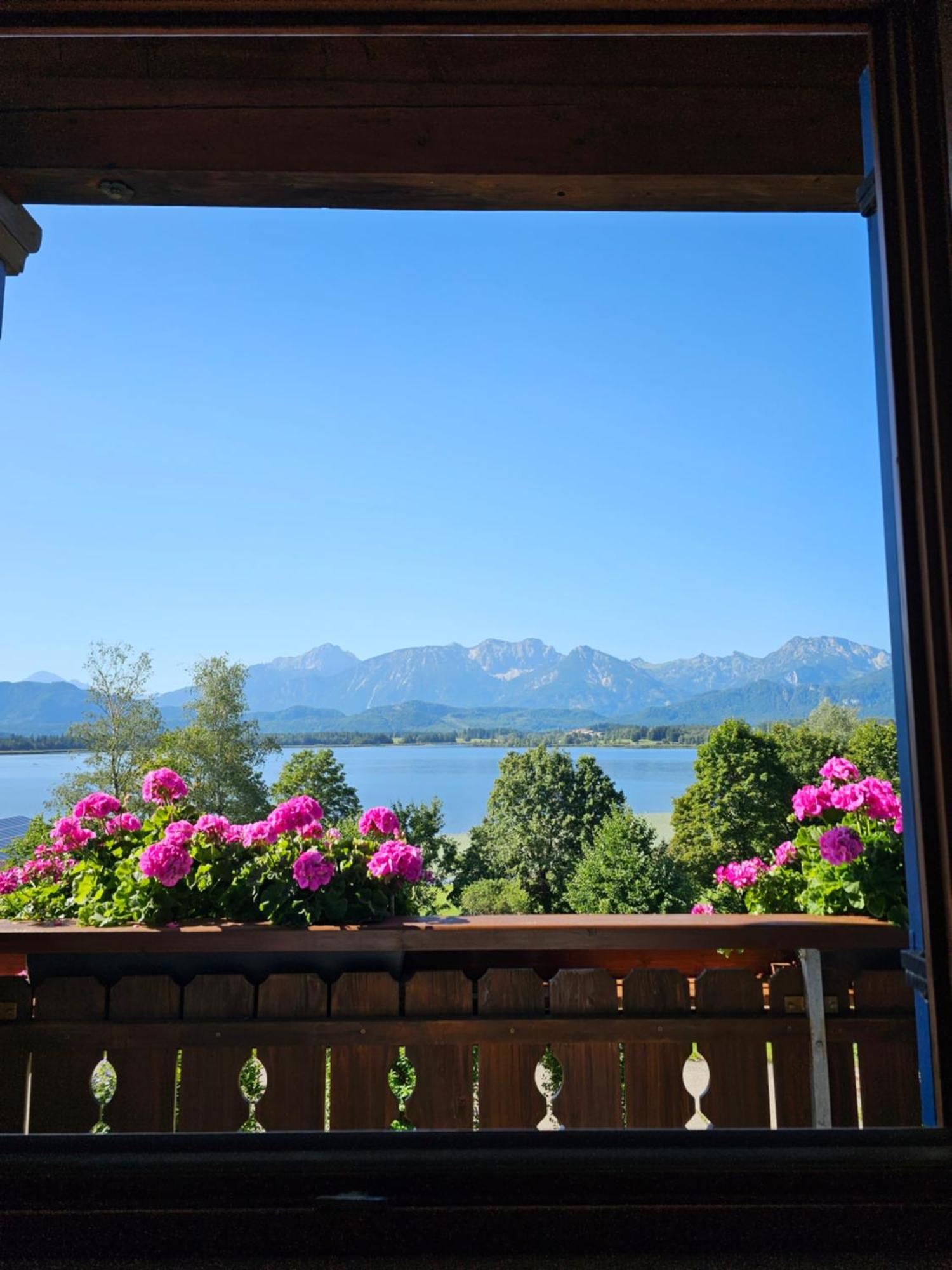 Landhaus Amberg Hopfen Am See // Hopfensee // Fuessen 외부 사진