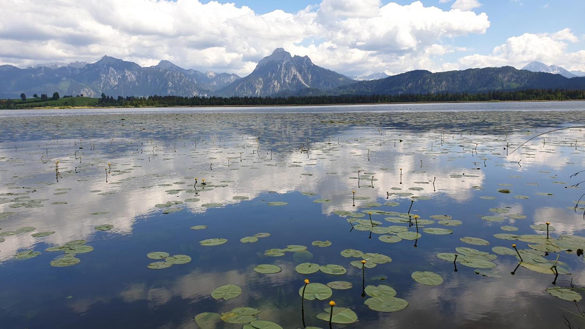 Landhaus Amberg Hopfen Am See // Hopfensee // Fuessen 외부 사진